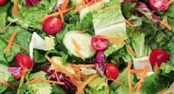 BOOM! Daily Guarantee Fresh Salad Recipes – Sumptuous Perfect Pasta Salads