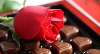 Rest Your Taste Buds With Organic Chocolates